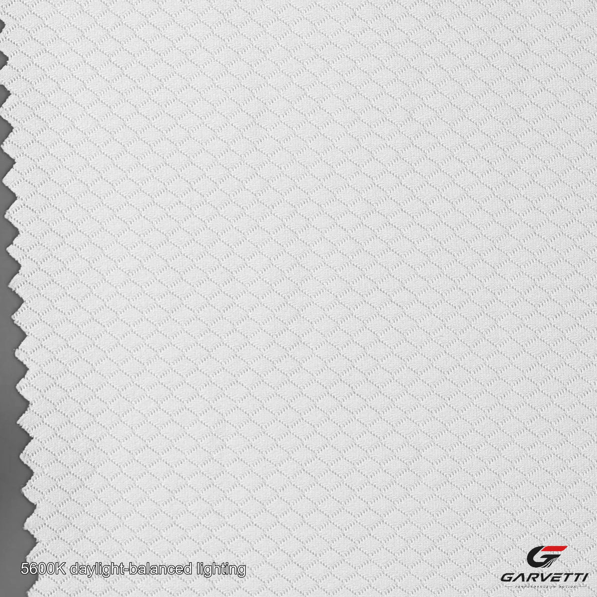 ZX2505 fabric