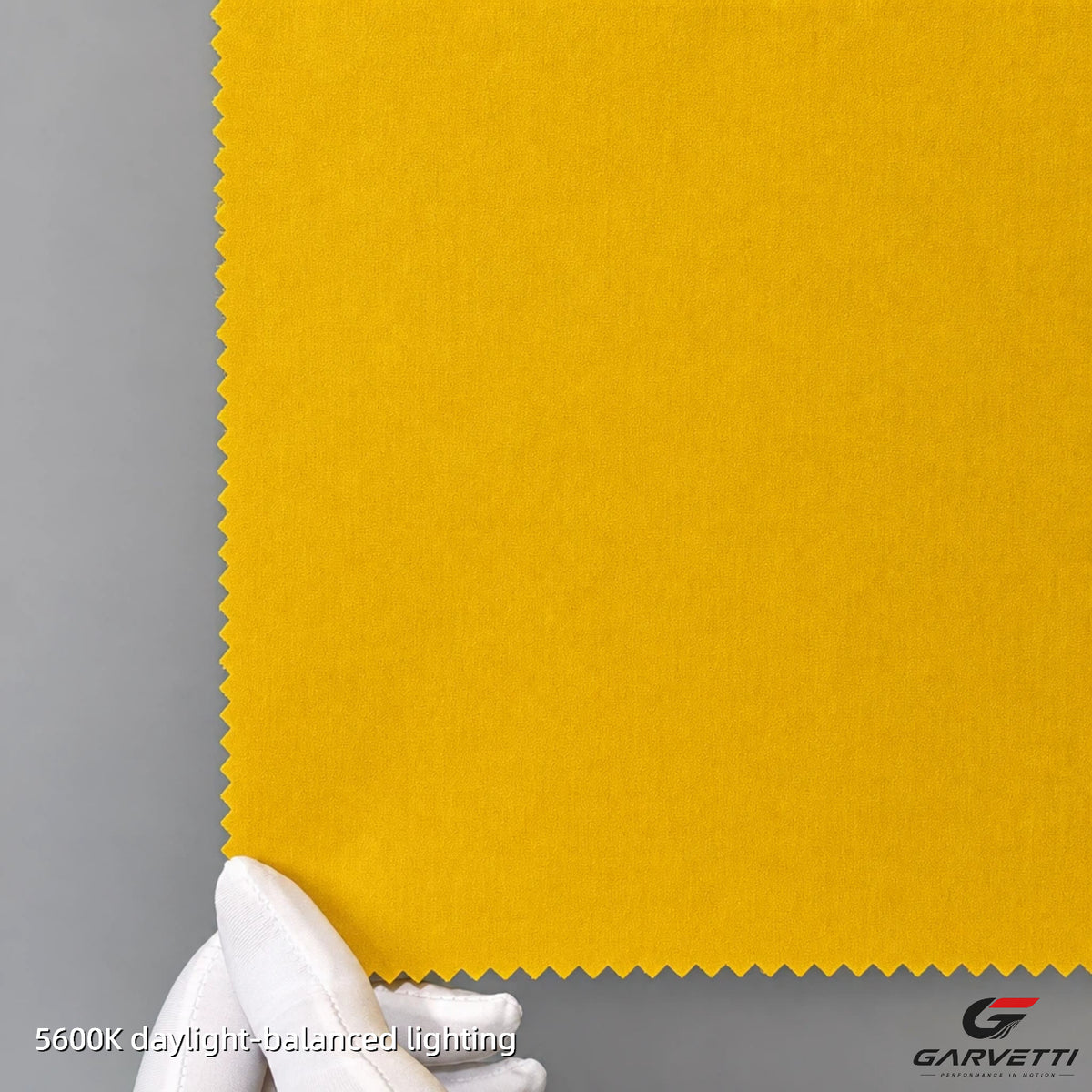 High Stretch PU Membrane Mesh Fleece Softshell Fabric by Meter, Nylon Lycra Face, 230gsm, Lightweight Windproof, Hollow Yarn Thermal