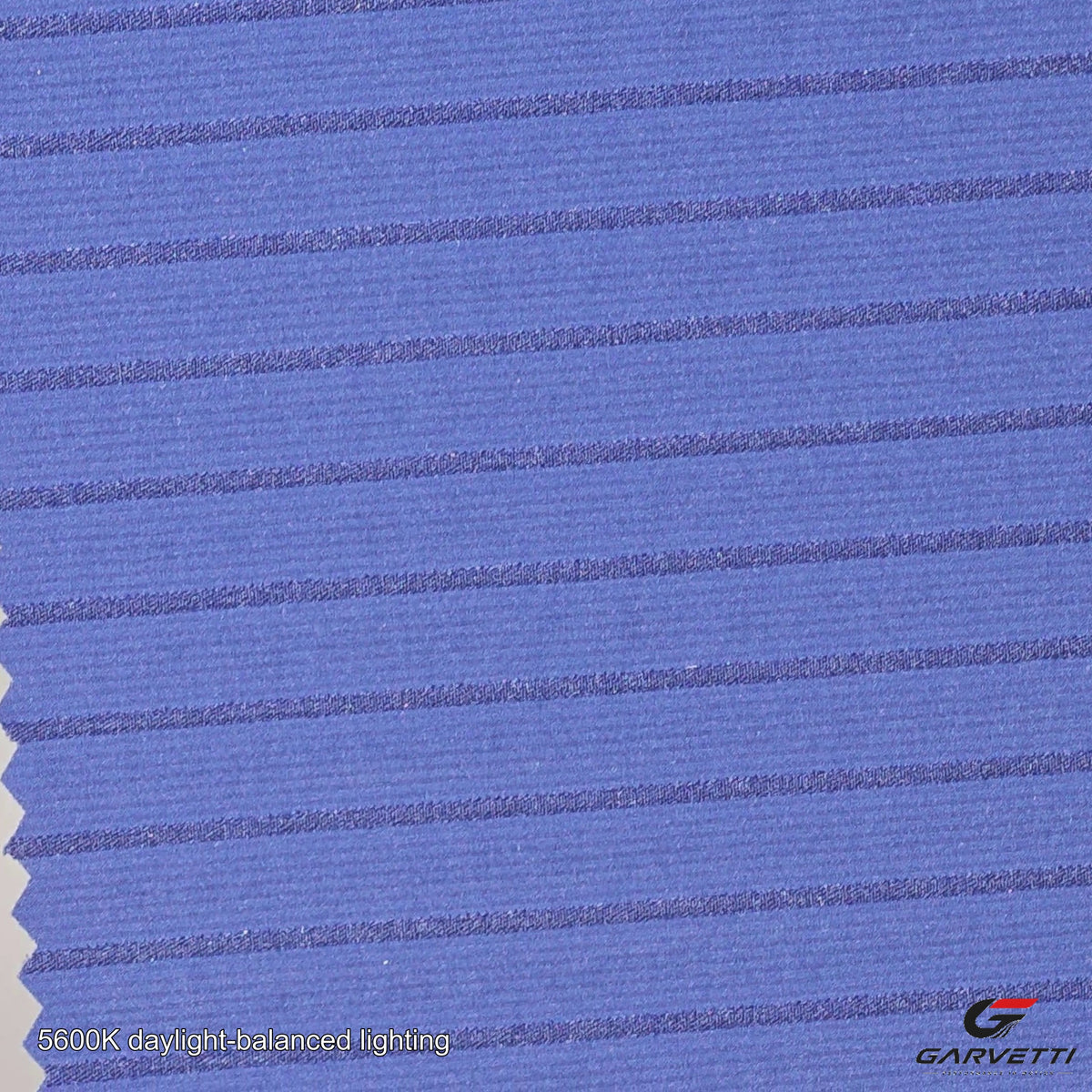 ZS517-2 fabric