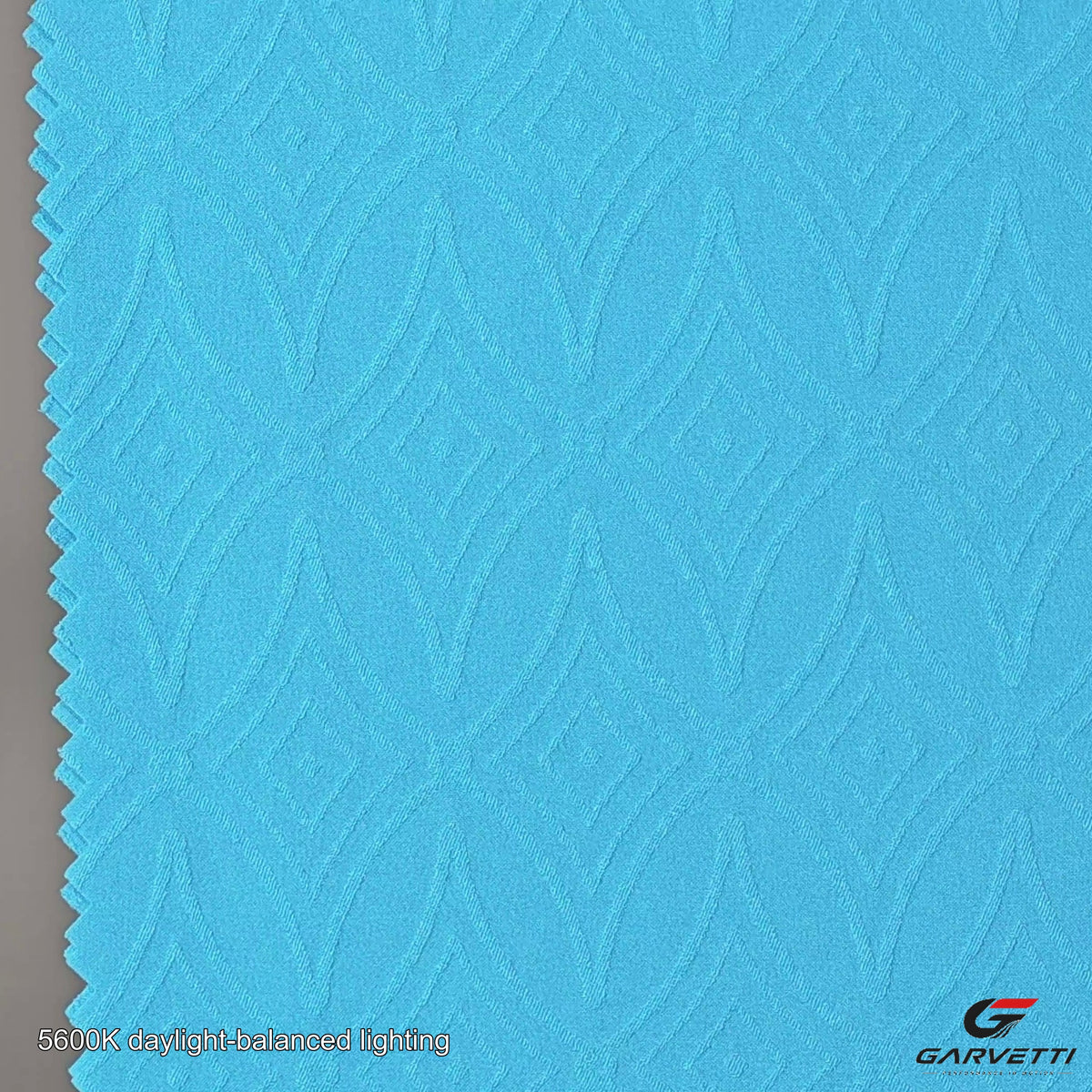 ZX2509 fabric