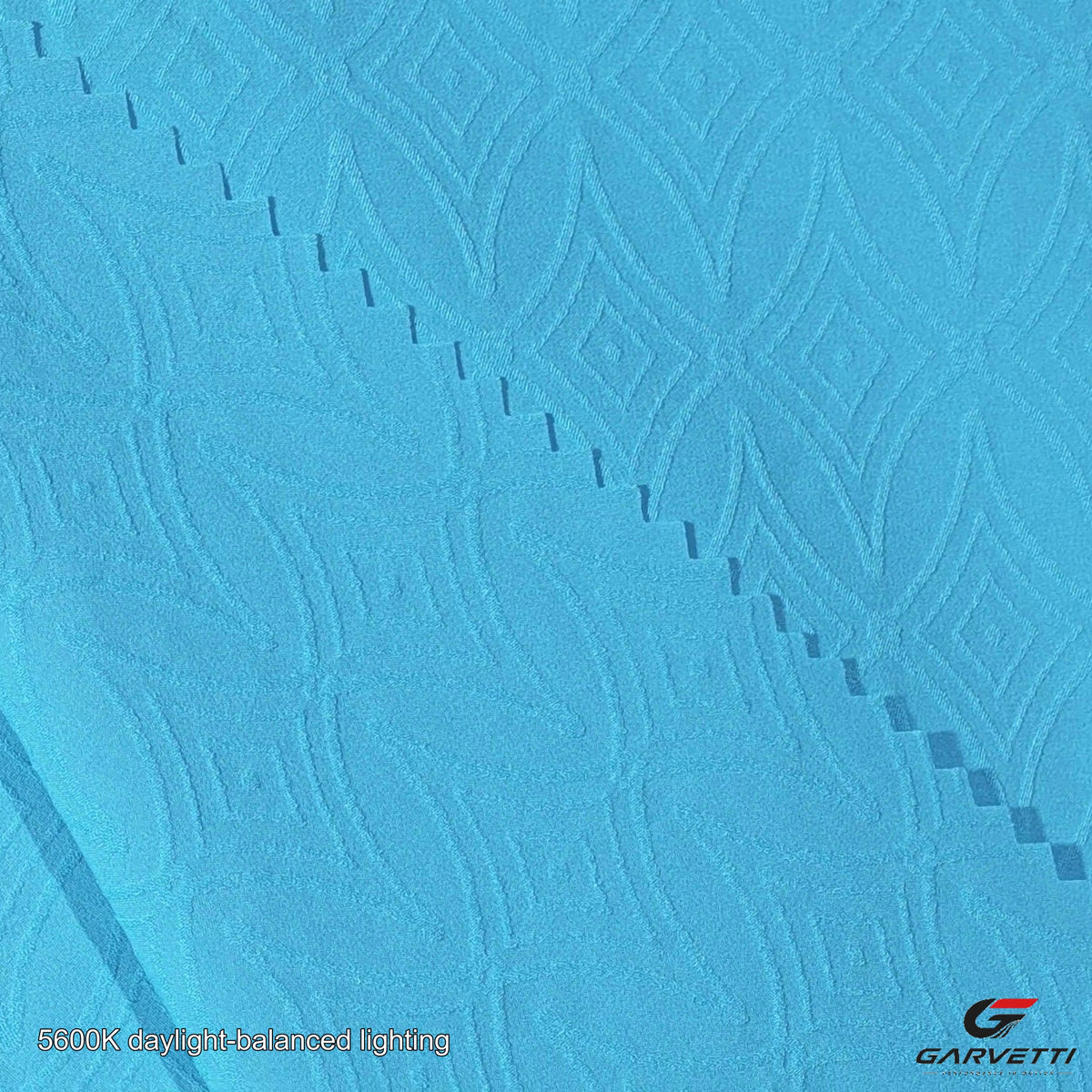ZX2509 fabric
